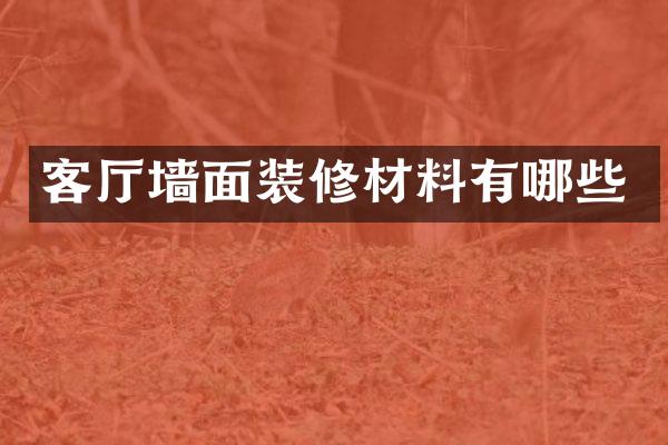 客厅墙面装修材料有哪些