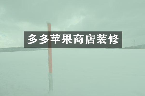 多多苹果商店装修