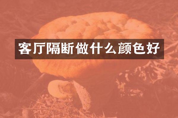 客厅隔断做什么颜色好
