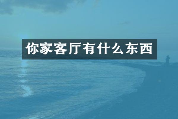 你家客厅有什么东西