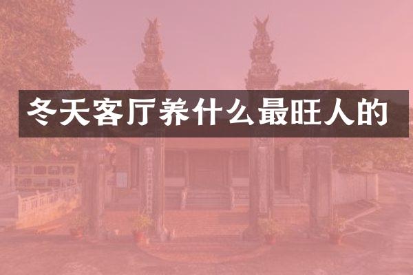 冬天客厅养什么最旺人的