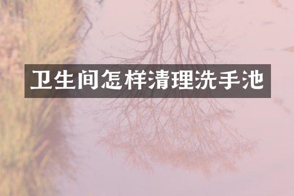 卫生间怎样清理洗手池