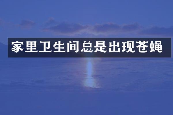 家里卫生间总是出现苍蝇