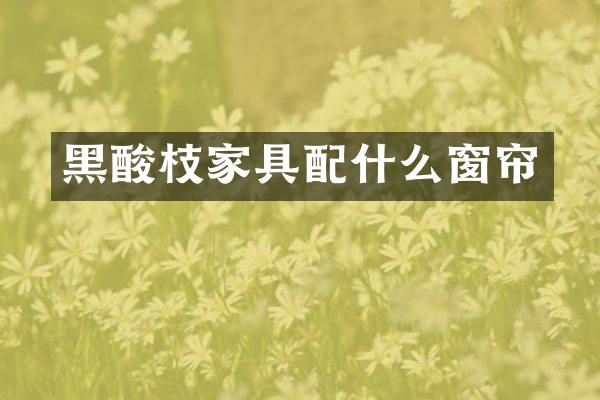 黑酸枝家具配什么窗帘