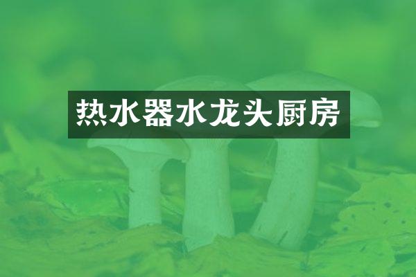 热水器水龙头厨房