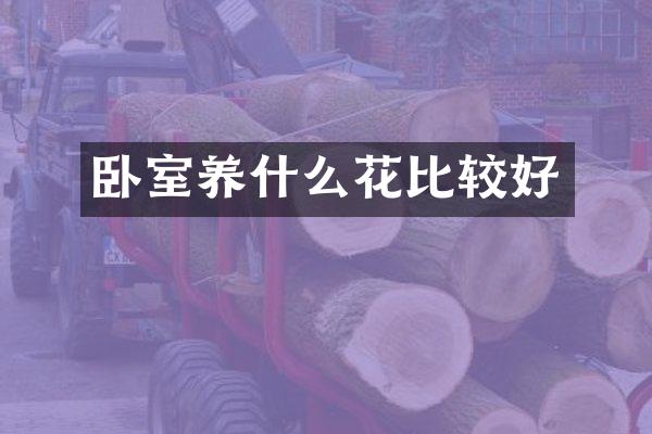 卧室养什么花比较好