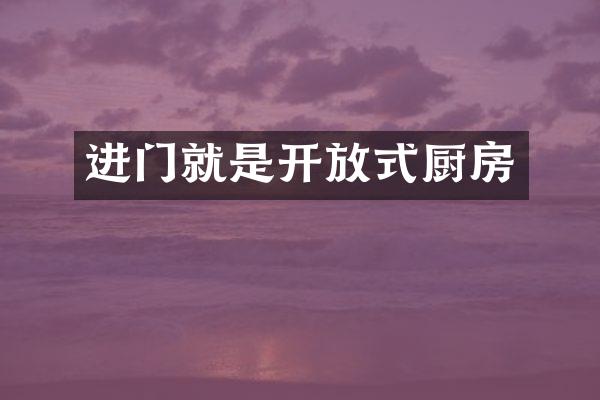 进门就是开放式厨房