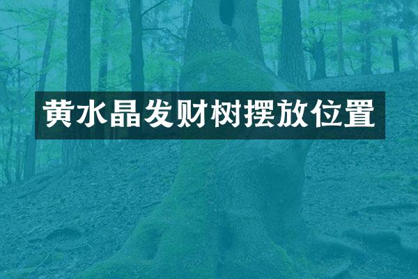 黄水晶发财树摆放位置