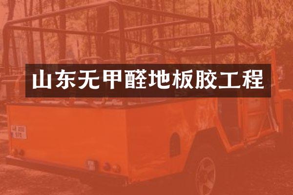 山东无甲醛地板胶工程