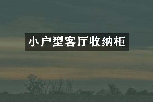 小户型客厅收纳柜