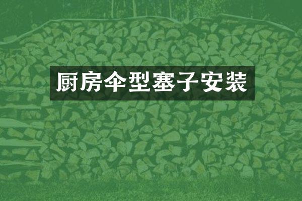 厨房伞型塞子安装
