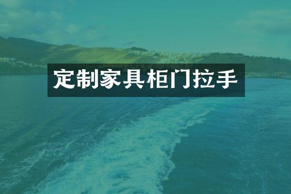 定制家具柜门拉手