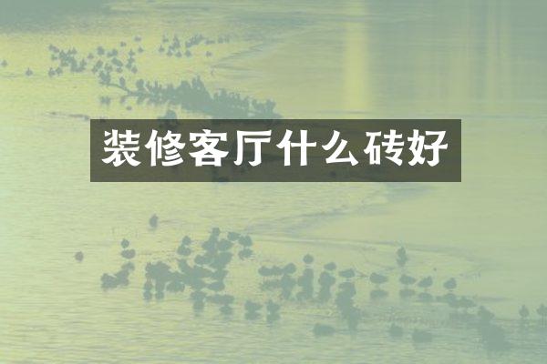 装修客厅什么砖好