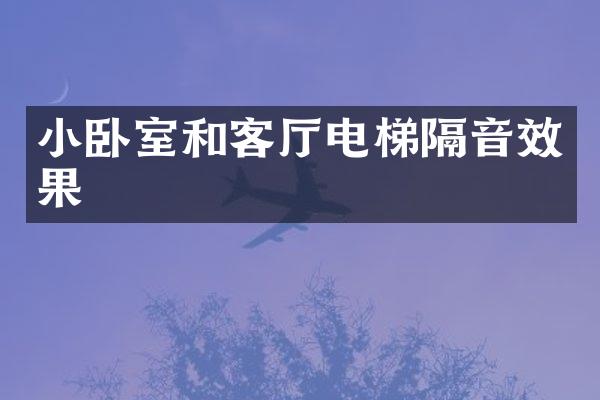 小卧室和客厅电梯隔音效果