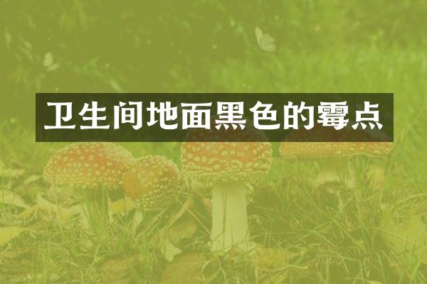 卫生间地面黑色的霉点
