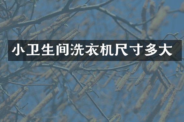 小卫生间洗衣机尺寸多大