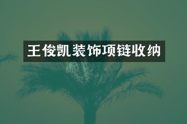 王俊凯装饰项链收纳