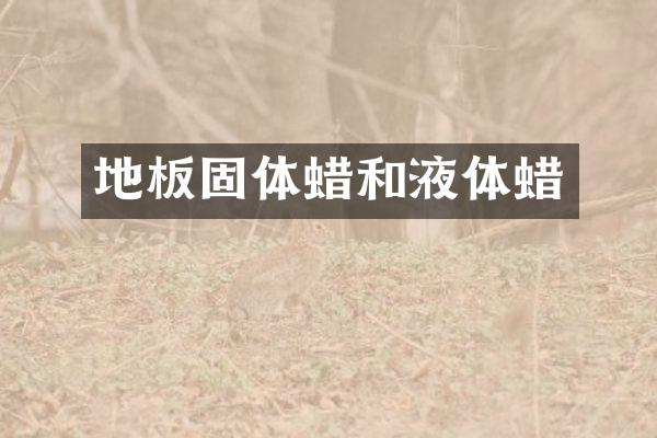 地板固体蜡和液体蜡
