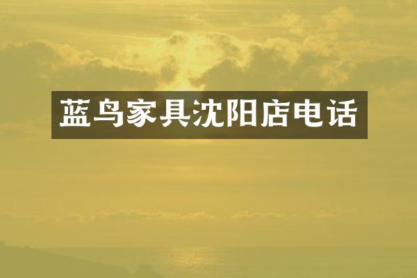 蓝鸟家具沈阳店电话