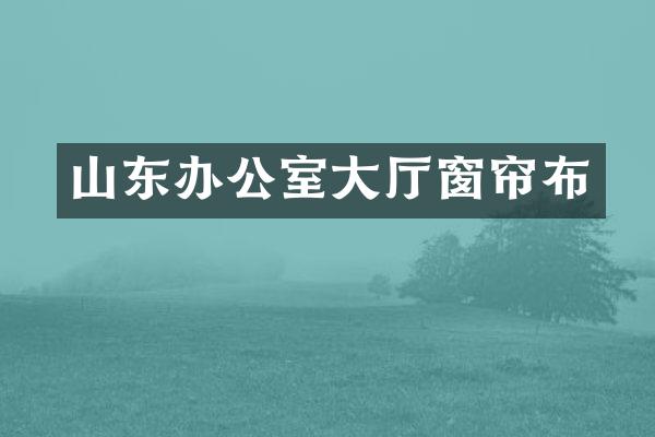 山东办公室大厅窗帘布