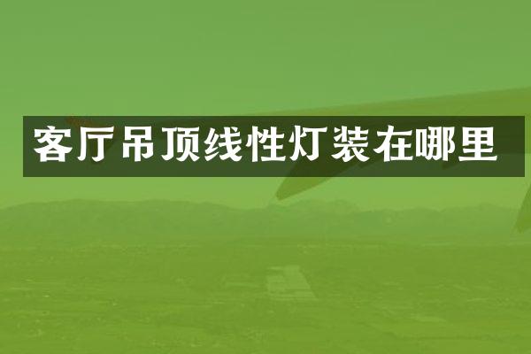 客厅吊顶线性灯装在哪里