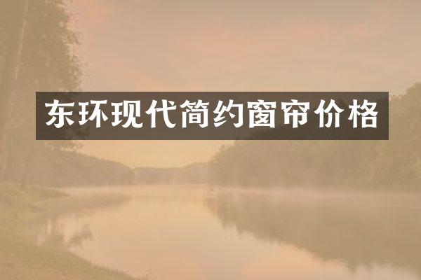 东环现代简约窗帘价格