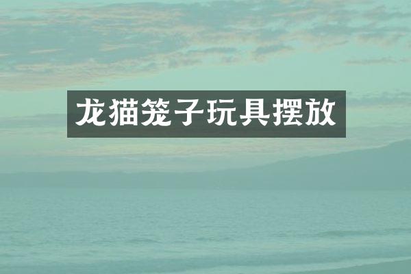 龙猫笼子玩具摆放