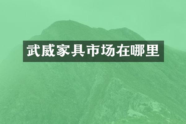 武威家具市场在哪里
