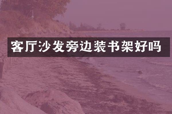 客厅沙发旁边装书架好吗