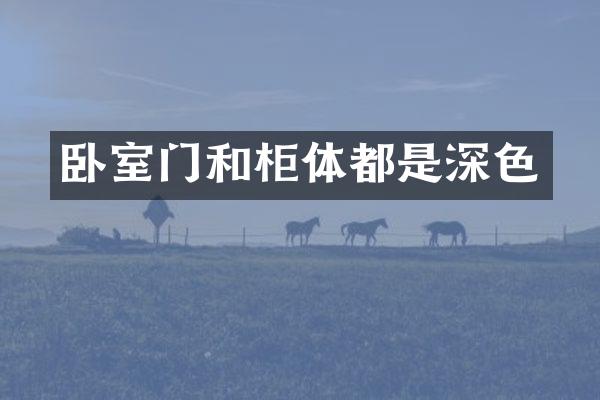 卧室门和柜体都是深色