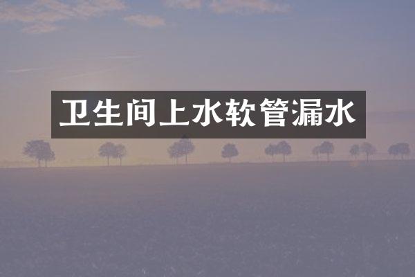 卫生间上水软管漏水