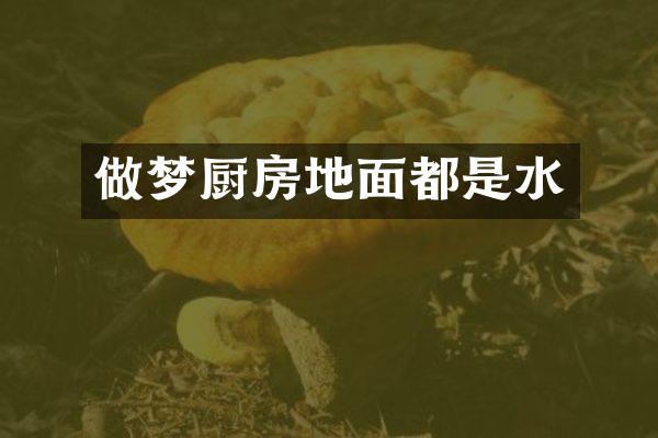 做梦厨房地面都是水