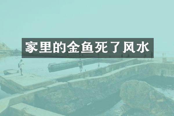家里的金鱼死了风水