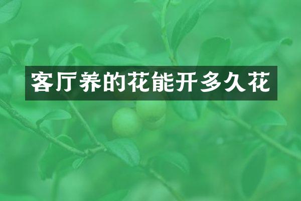 客厅养的花能开多久花