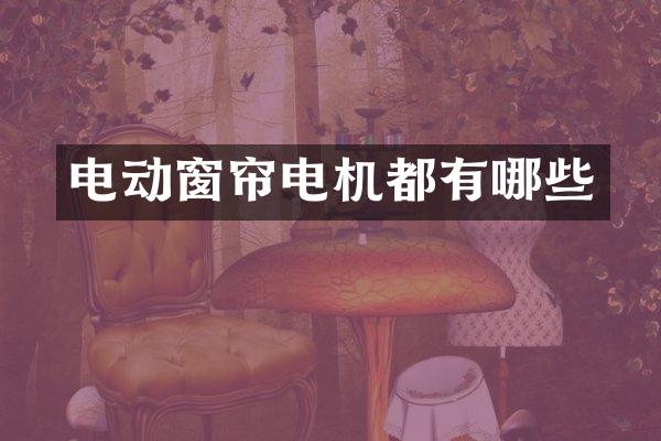 电动窗帘电机都有哪些