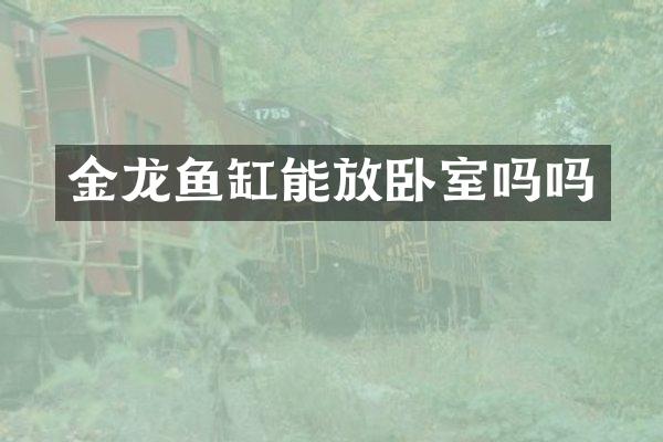 金龙鱼缸能放卧室吗吗