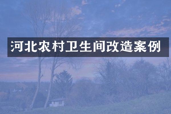 河北农村卫生间改造案例
