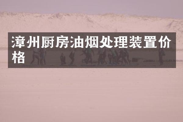 漳州厨房油烟处理装置价格