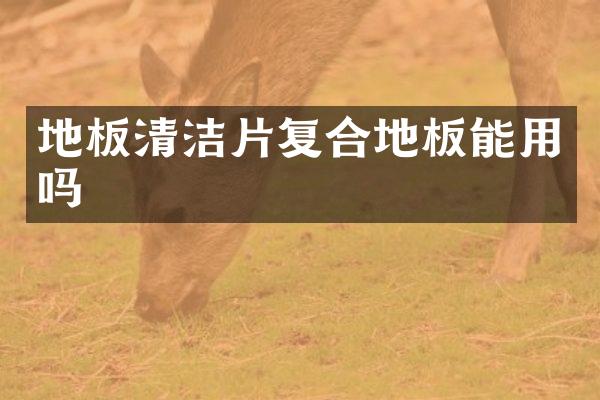 地板清洁片复合地板能用吗