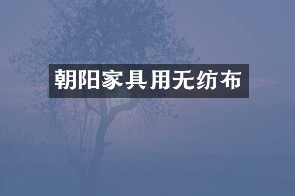 朝阳家具用无纺布