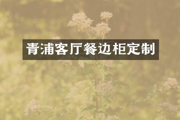 青浦客厅餐边柜定制