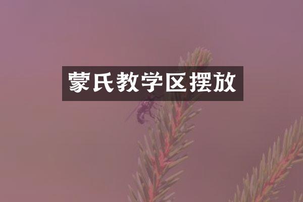 蒙氏教学区摆放