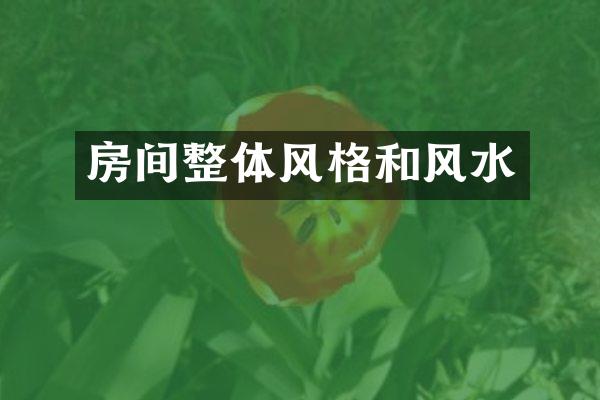 房间整体风格和风水