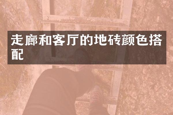走廊和客厅的地砖颜色搭配