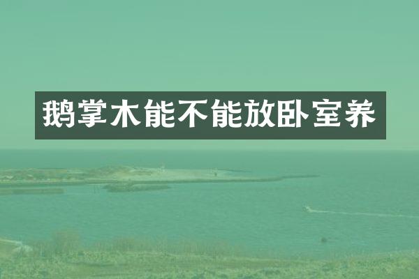 鹅掌木能不能放卧室养