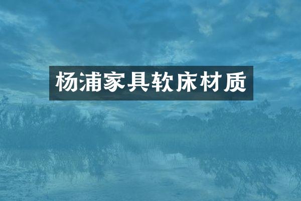 杨浦家具软床材质