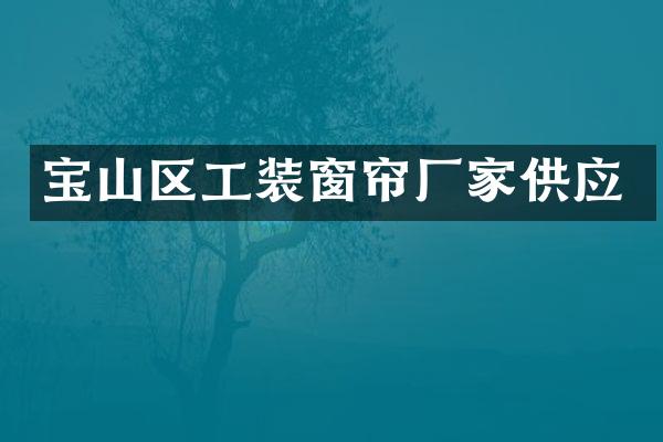 宝山区工装窗帘厂家供应