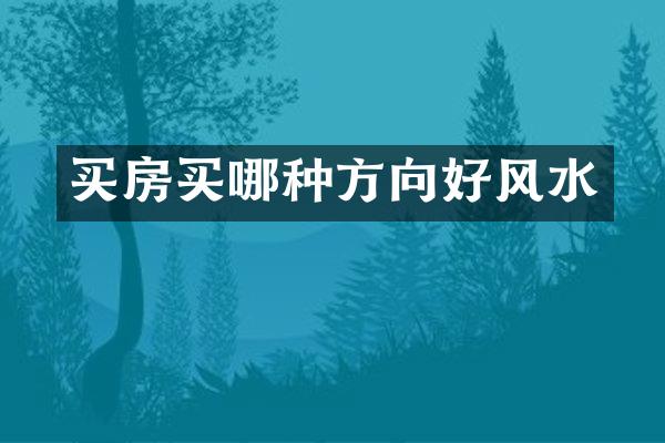 买房买哪种方向好风水
