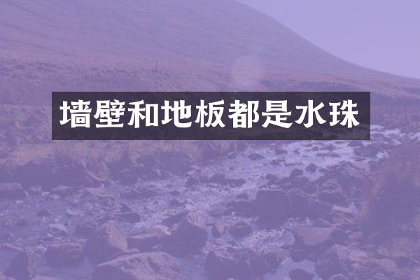 墙壁和地板都是水珠