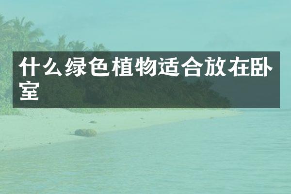 什么绿色植物适合放在卧室